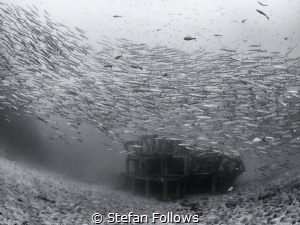 One Fish Two Fish Red Fish Blue Fish ... Dr Seuss. Chevro... by Stefan Follows 